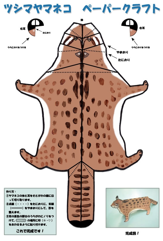 ツシマヤマネコ　ペーパークラフトのデータです