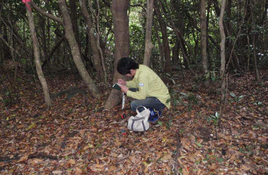 森の中で職員がヤマネコの足跡などの生育状況を確認している様子